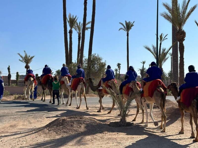 Marrakech Palmeraie Camel Ride Adventure - Key Points
