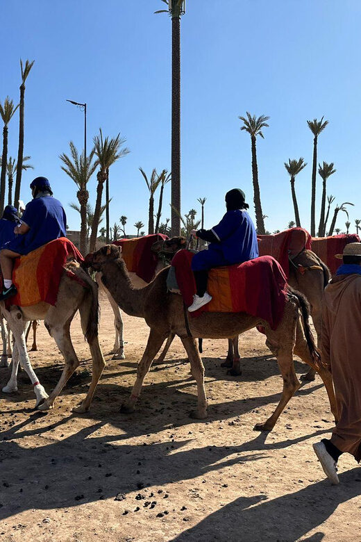 Marrakech Palmeraie Camel Ride Adventure - Practical Details and Tips