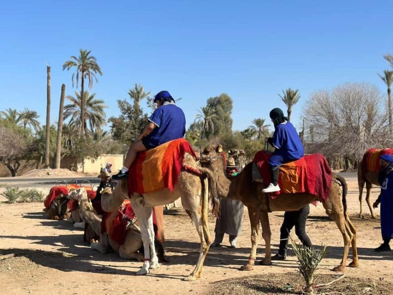 Marrakech Palmeraie Camel Ride Adventure - Final Thoughts