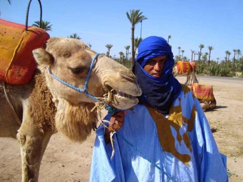 Marrakech Palmeraie: Camel Ride at Sunset - Key Points