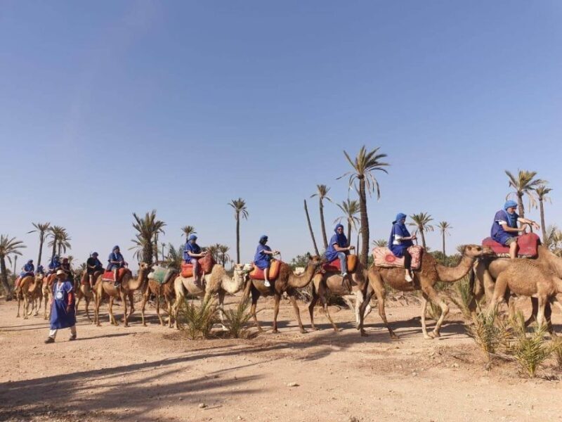 Marrakech Palmeraie: Camel Ride at Sunset - The Value of This Experience