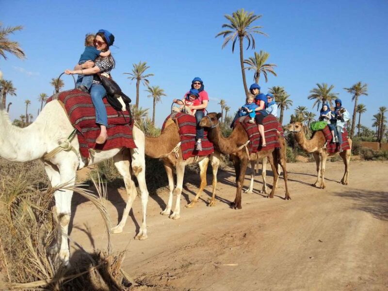 Marrakech Palmeraie: Camel Ride at Sunset - Practical Tips for Travelers