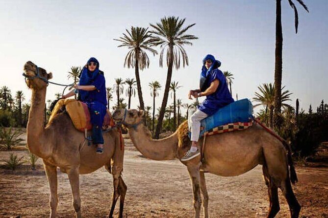 Marrakech Palmeraie: Camel Ride at Sunset - FAQs