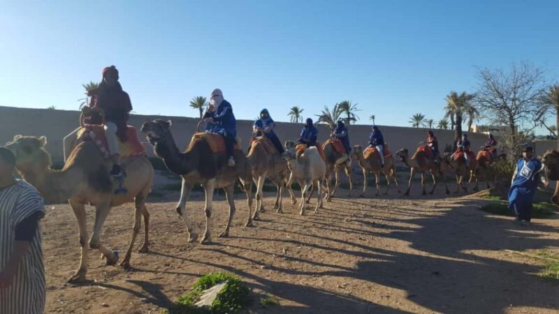 Marrakech Palmeraie Camel Ride with Tea Break - Final Thoughts: Is It Worth It?