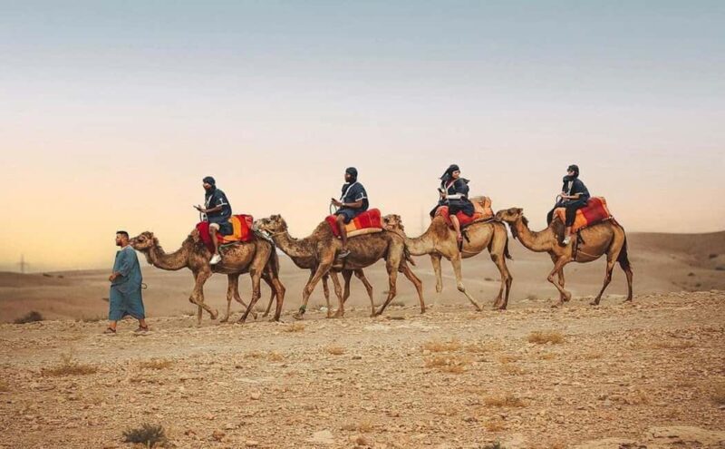 Marrakech : palmeraie Desert agafay Quad Bike, Camel Ride - Key Points