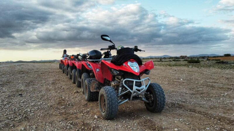 Marrakech: Palmeraie Guided Quad Biking Tour with Tea - Key Points