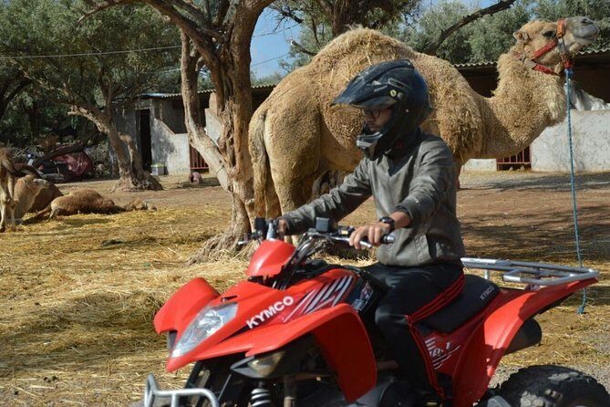 Marrakech Palmeraie Quad Bike Desert Adventure - The Route: From the Palm Groves to Jbilat Mountain