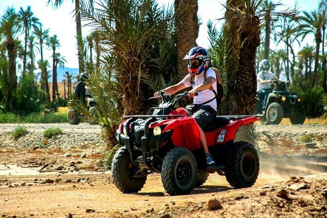 Marrakech Palmeraie Quad Bike Desert Adventure - Introduction: What Makes This Tour a Winner?