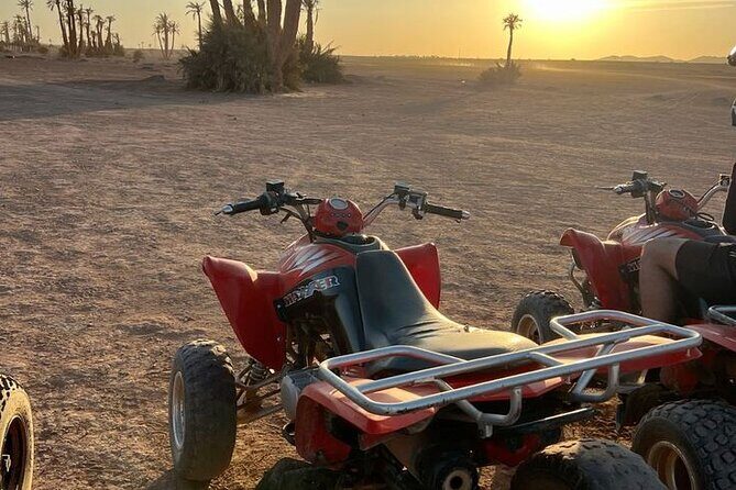 Marrakech palmeraie Quad Bike Experience with transfers - Key Points