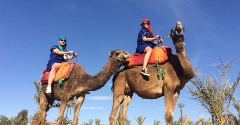 Marrakech: Palmeraie Quad Biking & Camel Ride with Pick-Up - Key Points