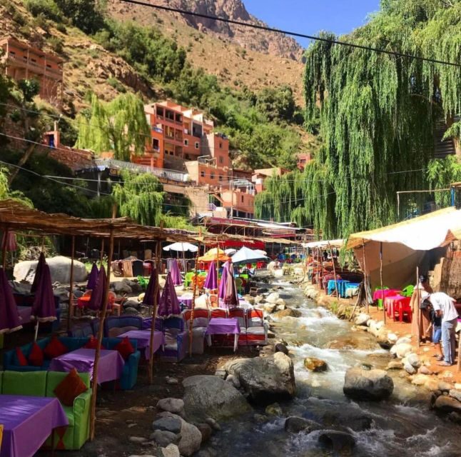 Marrakech: Palmeraie Quad Biking & Camel Ride with Pick-Up - The Sum Up