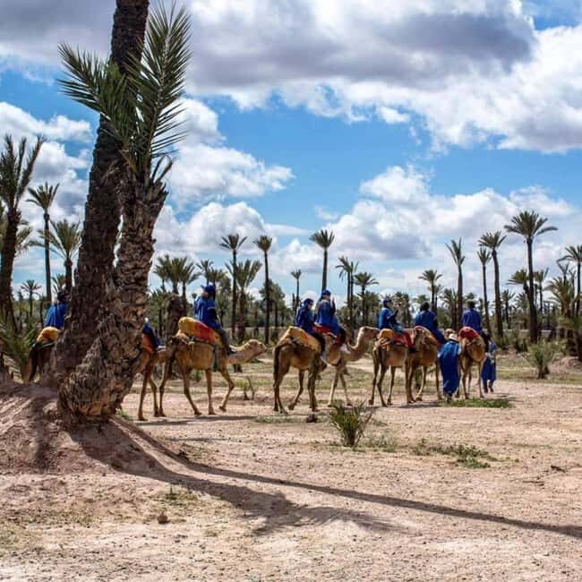 Marrakech: Palmeraie Quad Biking & Camel Ride with Pick-Up - FAQ