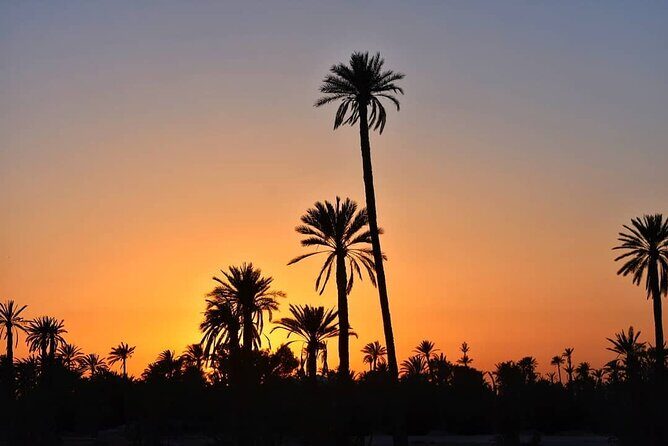 Marrakech Palmeraie Tour with 1 Hour Camel Ride - FAQ