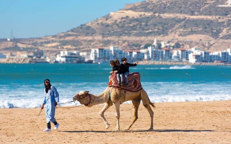 Marrakech : Private 1-Day Trip To Agadir & Crocodile Park - Introduction