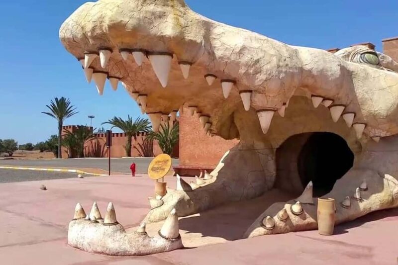 Marrakech : Private 1-Day Trip To Agadir & Crocodile Park - Transportation & Comfort