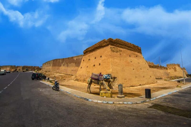 Marrakech : Private 1-Day Trip To Agadir & Crocodile Park - Final Thoughts