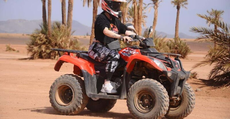 Marrakech : Private 2-Days Trip Ait Ben Haddou & Ouarzazate - Final Thoughts