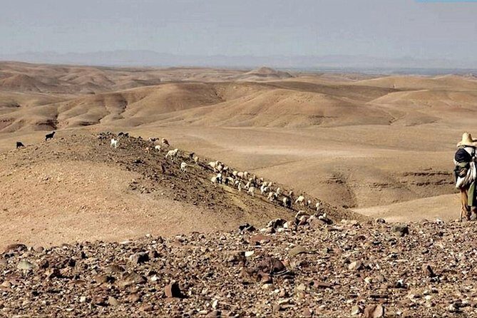 Marrakech private day tour to Agafay desert & Lake Takerkoust - Practical Details and Value  