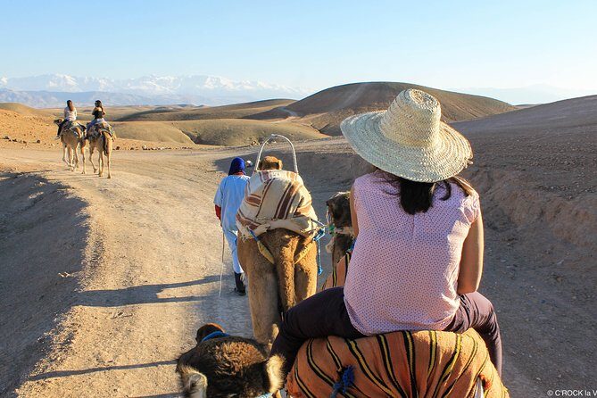 Marrakech private day tour to Agafay desert & Lake Takerkoust - Who Would Love This Tour?  