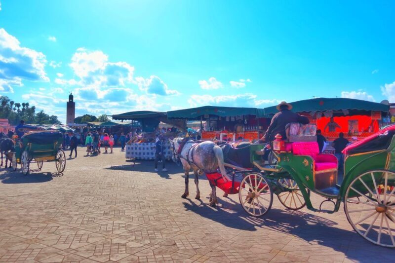 Marrakech: Private Half-Day City Highlights Tour - What You Can Expect from This Tour