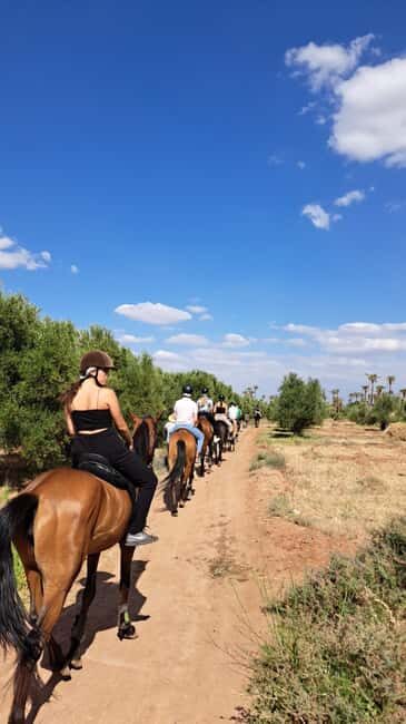 Marrakech: Private Horseback Tour in the Palm Grove with Tea - Discover Marrakech’s Palm Groves from a Unique Perspective