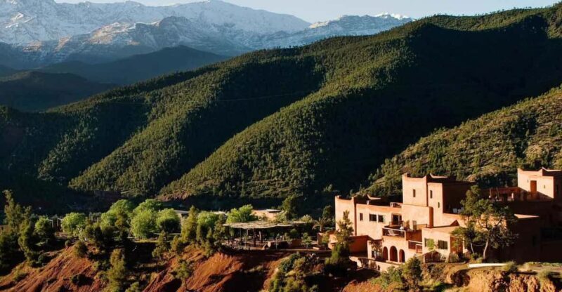 Marrakech: Private Ourika Valley & Atlas Mountains Tour - Who Is This Tour Best For?