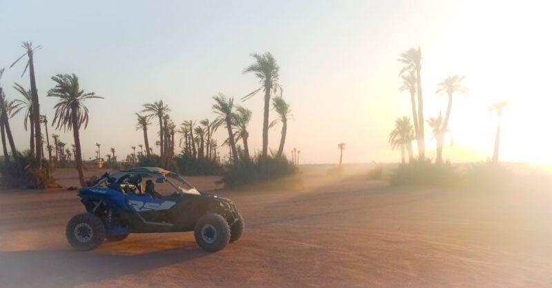 Marrakech: Private Palm Grove Camel and Quad Bike Ride - Key Points