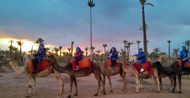Marrakech: Private Palm Grove Camel and Quad Bike Ride - Exploring the Palm Grove by Two Ways: Camel and Quad