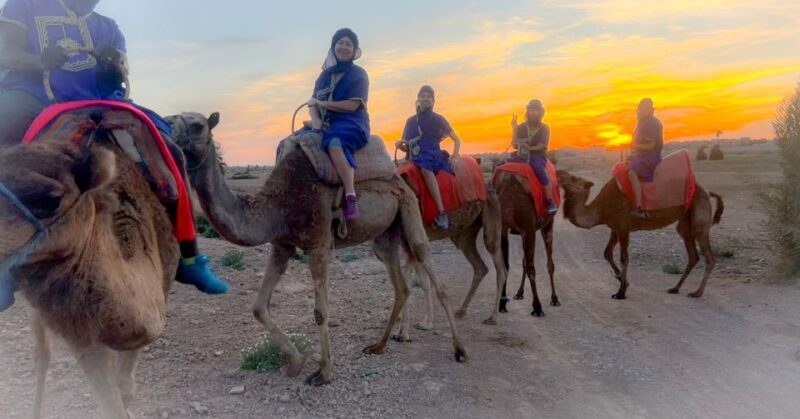 Marrakech: Private Palm Grove Camel and Quad Bike Ride - Practical Details and Value