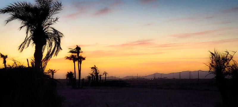 Marrakech: Private Palm Grove Camel and Quad Bike Ride - What’s Not Included?