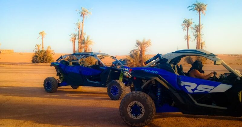 Marrakech: Private Palm Grove Camel and Quad Bike Ride - Who Will Love This Tour?