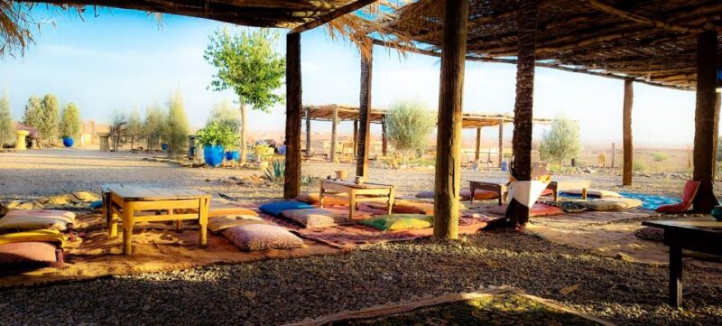 Marrakech: Private Palm Grove Camel and Quad Bike Ride - Final Thoughts on Value and Authenticity