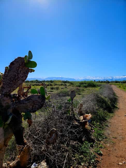Marrakech: Private Rescue Farm Visit with Lunch + Transport - Practical Details and Value