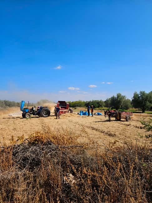 Marrakech: Private Rescue Farm Visit with Lunch + Transport - FAQ