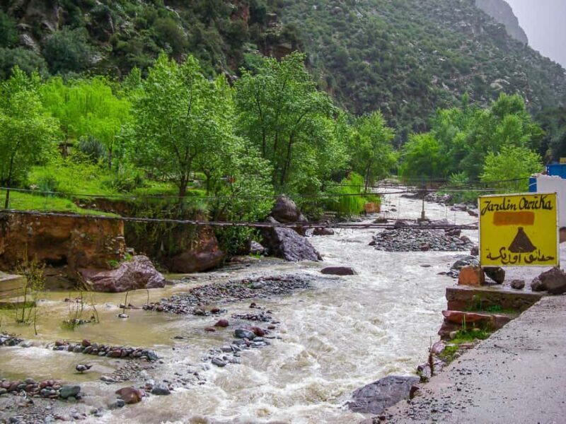 Marrakech : Private To Ourika Valley Atlas Mountains & Lunch - Berber Villages and Argan Oil Co-ops