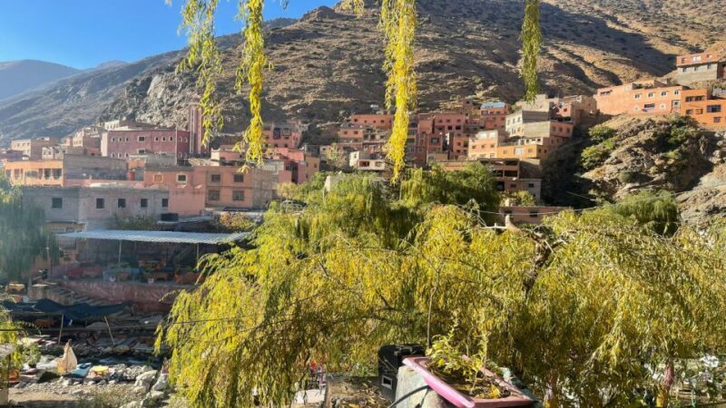 Marrakech : Private To Ourika Valley Atlas Mountains & Lunch - Who This Tour Is Perfect For