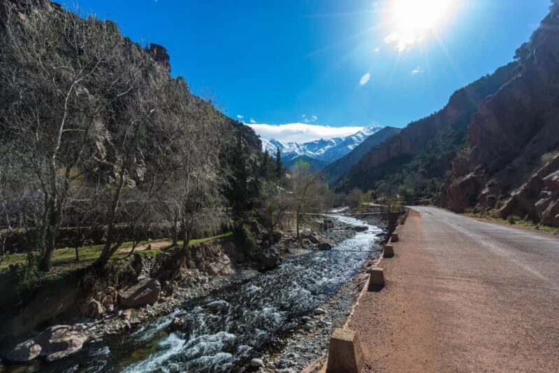 Marrakech : Private To Ourika Valley Atlas Mountains & Lunch - Final Thoughts: Is It Worth It?