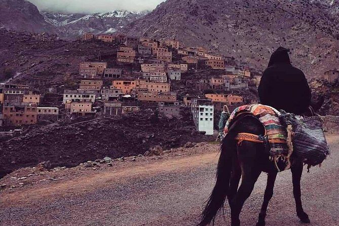 Marrakech : Private Transfer to/from RAK Airport - The Guides and Local Insights