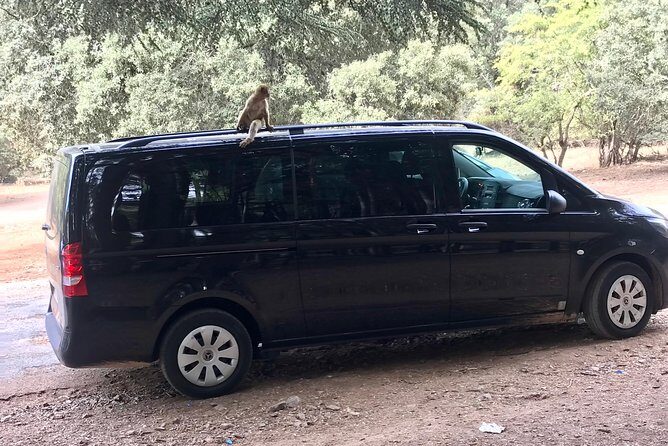 Marrakech Private Transfers - What to Expect from Marrakech Private Transfers