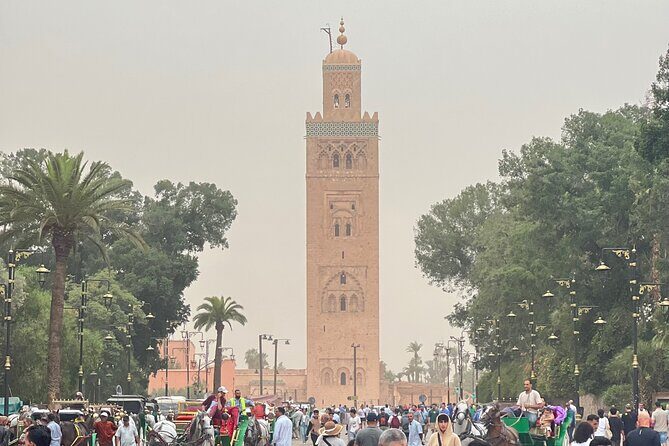 Marrakech Private Tuk Tuk Tour with Expert Guide - Key Points