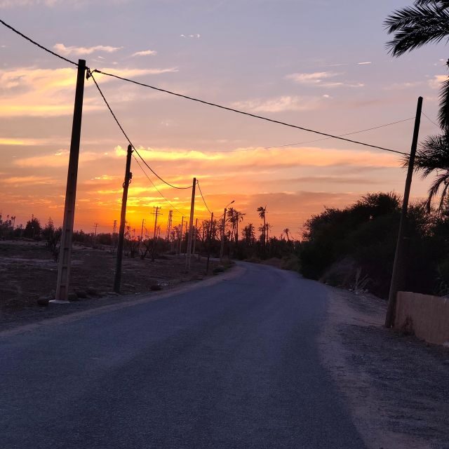 Marrakech: Quad activity in the Palmeraie with Tea break - Key Points