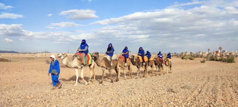 Marrakech: quad bike and Camel Ride in Marrakech - What Reviewers Say