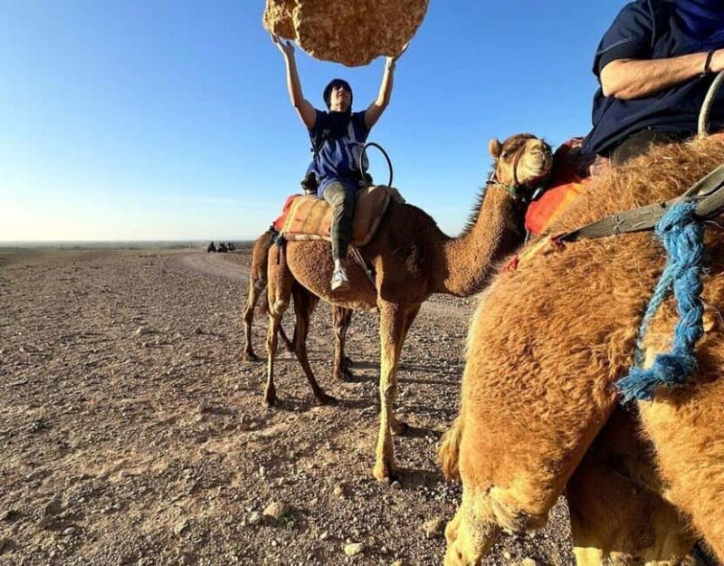 Marrakech : Quad Bike and Camel Ride with dinner in Agafay - What to Expect from This Tour
