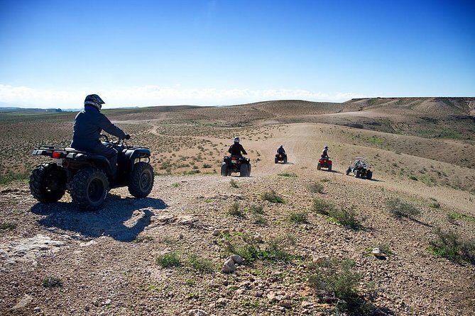 Marrakech Quad Bike ATV on the Palm Groves - The Experience: A Deep Dive into What You Can Expect