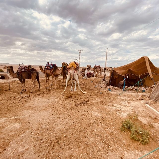 Marrakech: Quad Bike & Camel with dinner show & sunset - Key Points