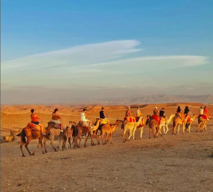 Marrakech: Quad Bike & Camel with dinner show & sunset - The Camel Ride: A Serene Journey