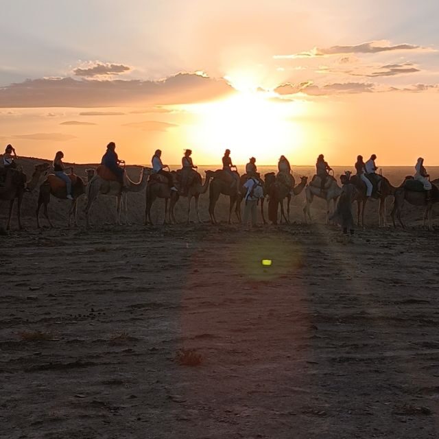 Marrakech: Quad Bike & Camel with dinner show & sunset - Dinner in a Berber Tent: Authentic Flavors and Atmosphere