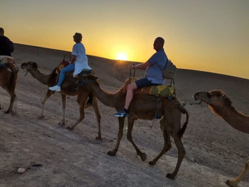 Marrakech: Quad Bike & Camel with dinner show & sunset - Return to Marrakech
