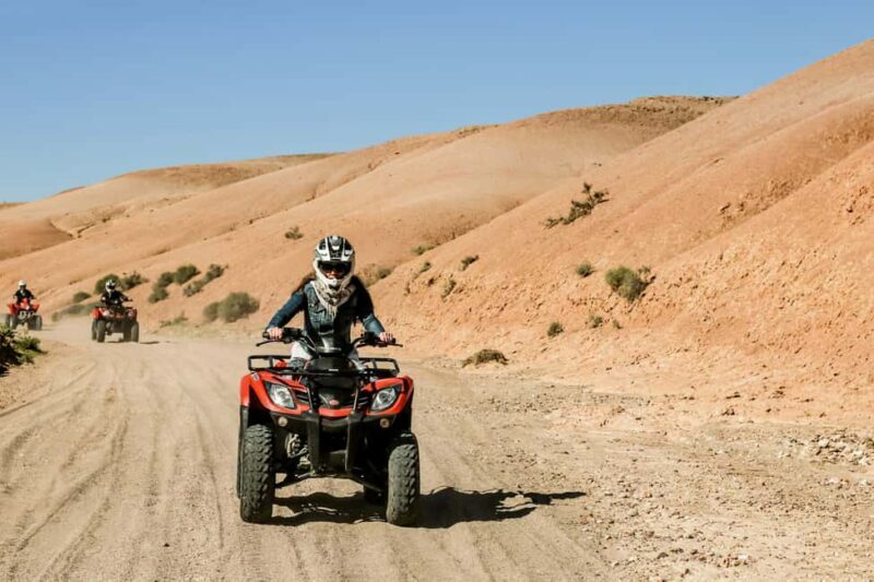 Marrakech Quad Bike Experience: Desert and Palmeraie - Who Will Love This Tour?