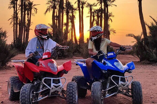 Marrakech: Quad Bike Tour in palm grove - Key Points